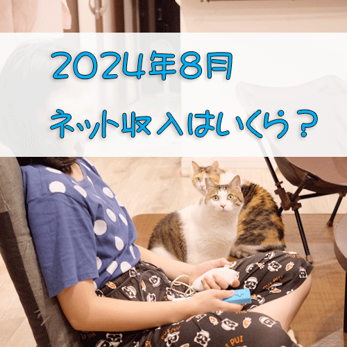 2024年8月のネット収入いくら？